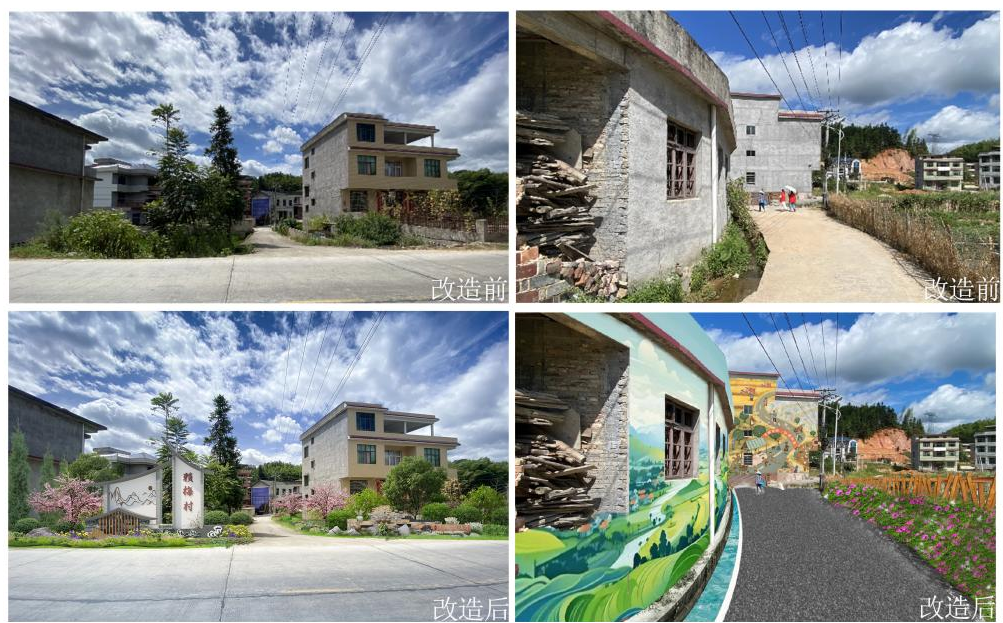 图片3.png 图片3.png